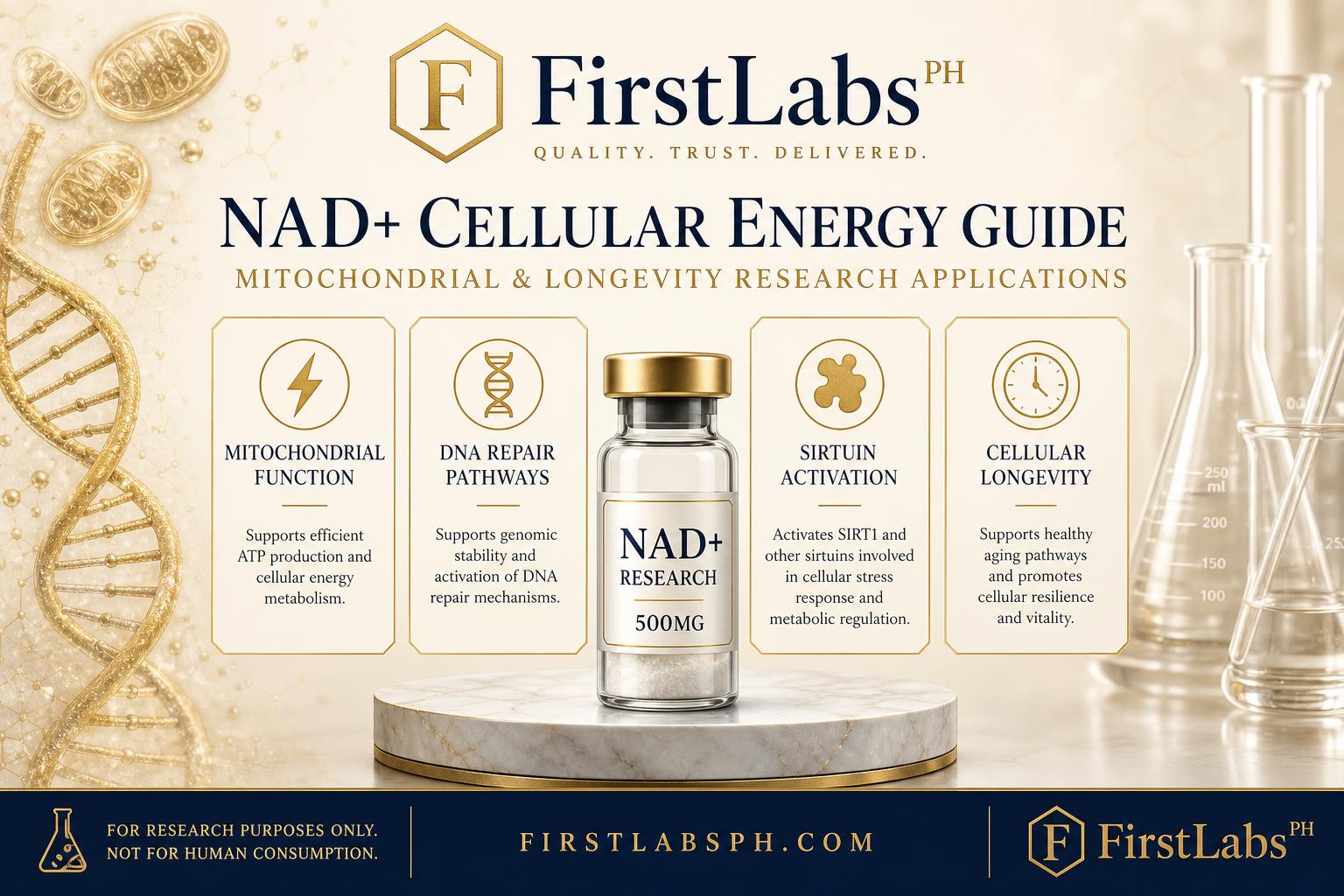 First Labs PH NAD+ cellular energy and longevity infographic with mitochondria and DNA helix illustrations