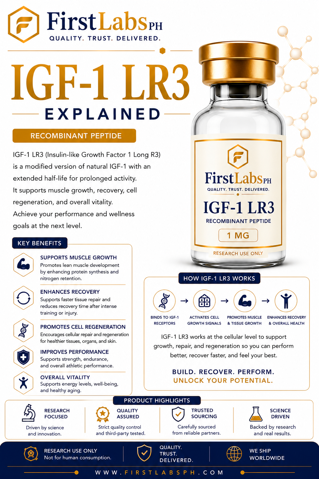IGF-1 LR3 infographic — benefits & research overview